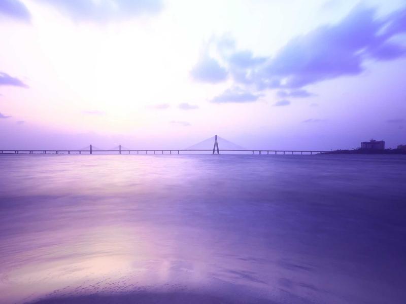 直播伴侣<br>推流监控与弹幕互动管理